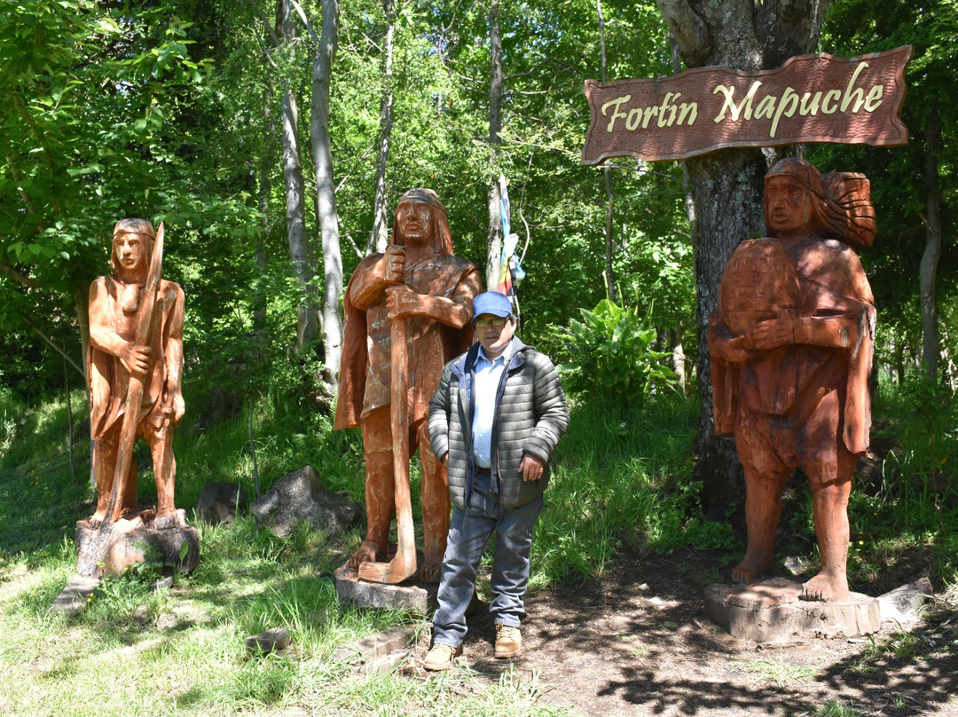Fortin Mapuche-Conaripe必去景点