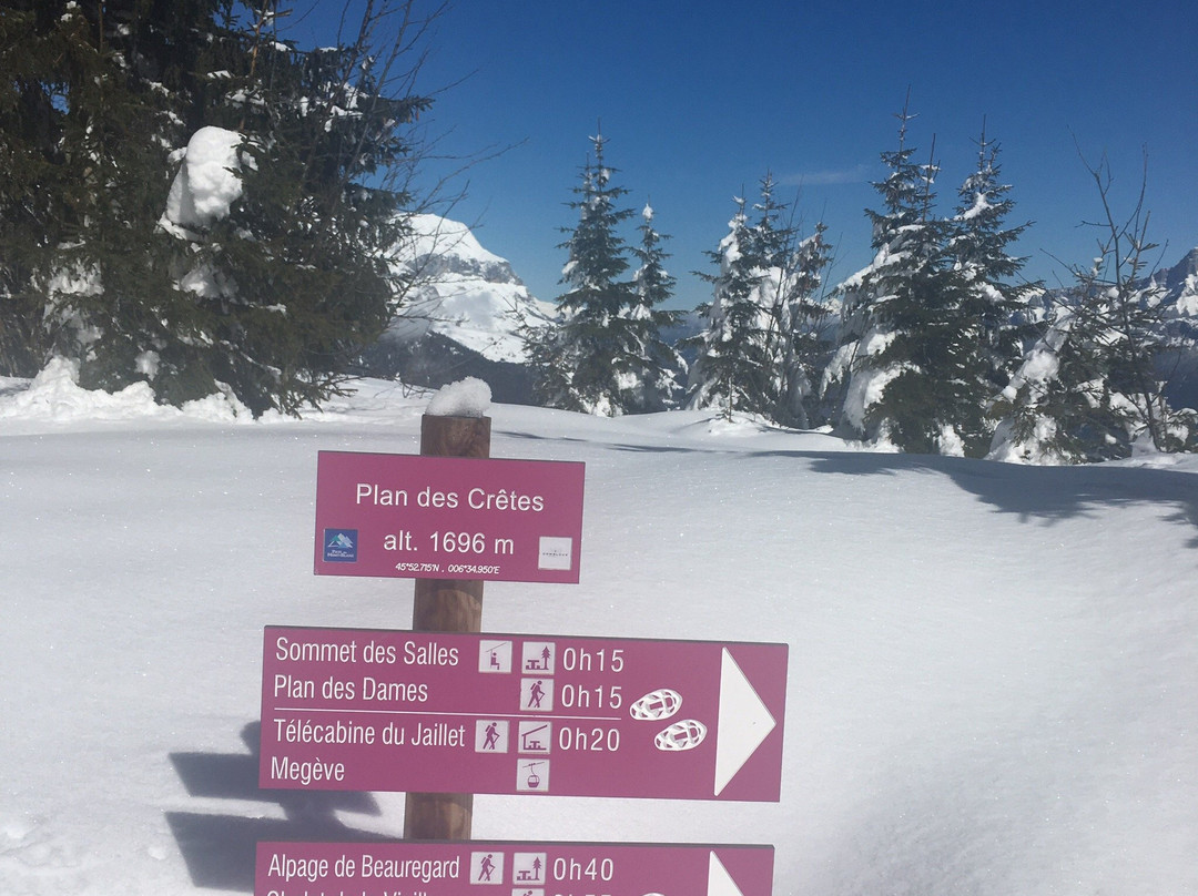 Les Portes du Mont-Blanc景点图片