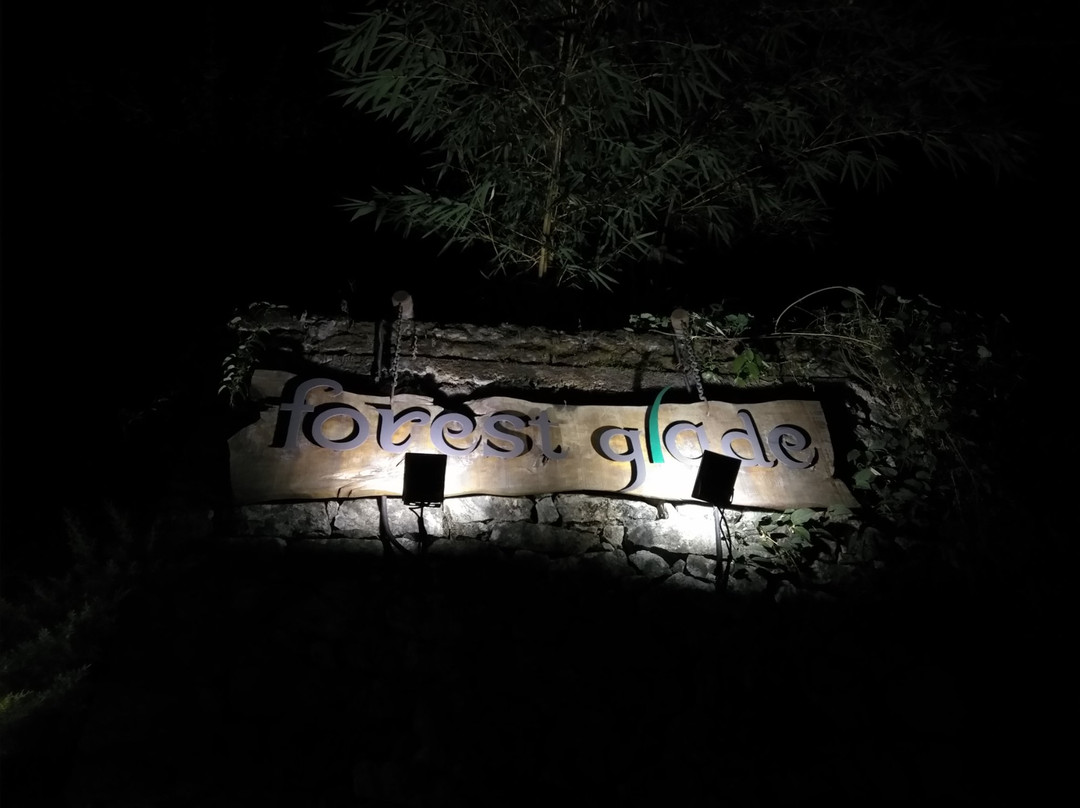 Forest Glade主图