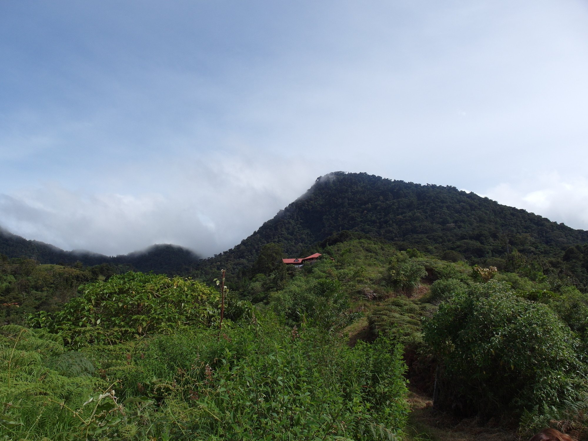 Mount Totumas Cloud Forest-浴室