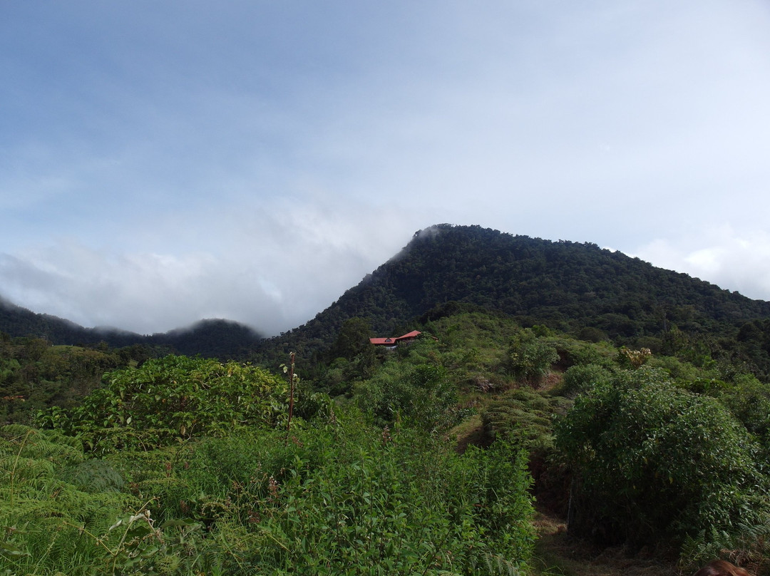Mount Totumas Cloud Forest主图