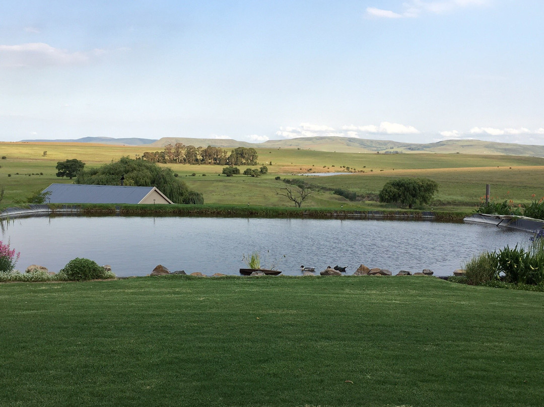 Forellenhof Guest Farm主图