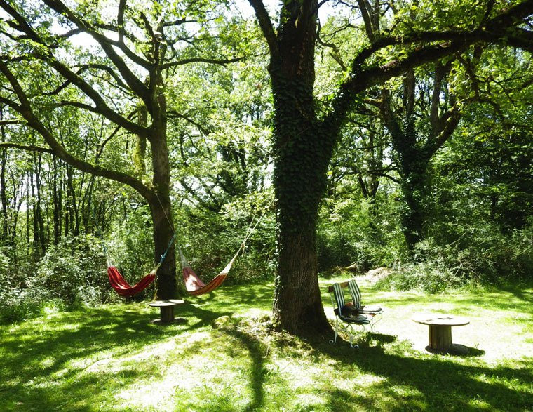 La Pierre Plantée主图