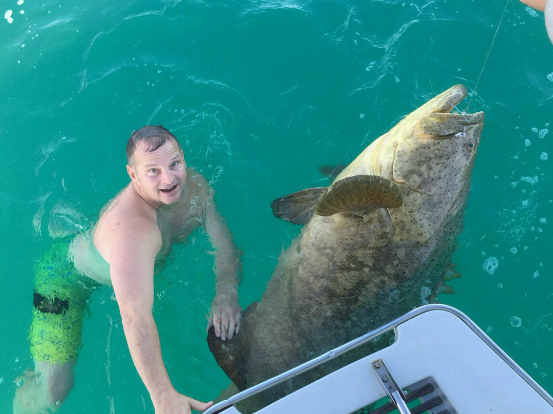 Paradise Fishing Charters-Cape Haze必去景点