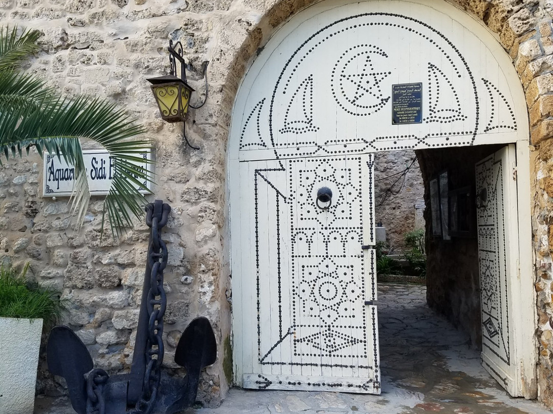 Musee Oceanographique-比塞大必去景点