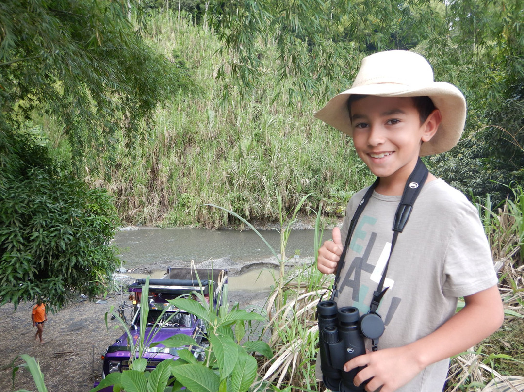 Hacienda Venecia Coffee Farm主图