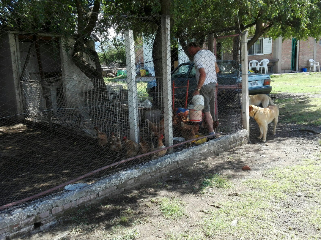 Campo La Herradura主图