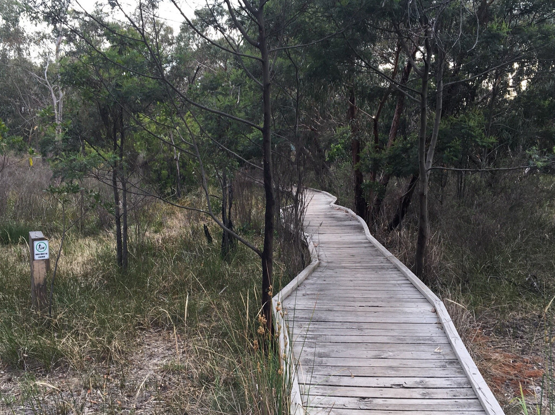 Long Hollow Heathland景点图片