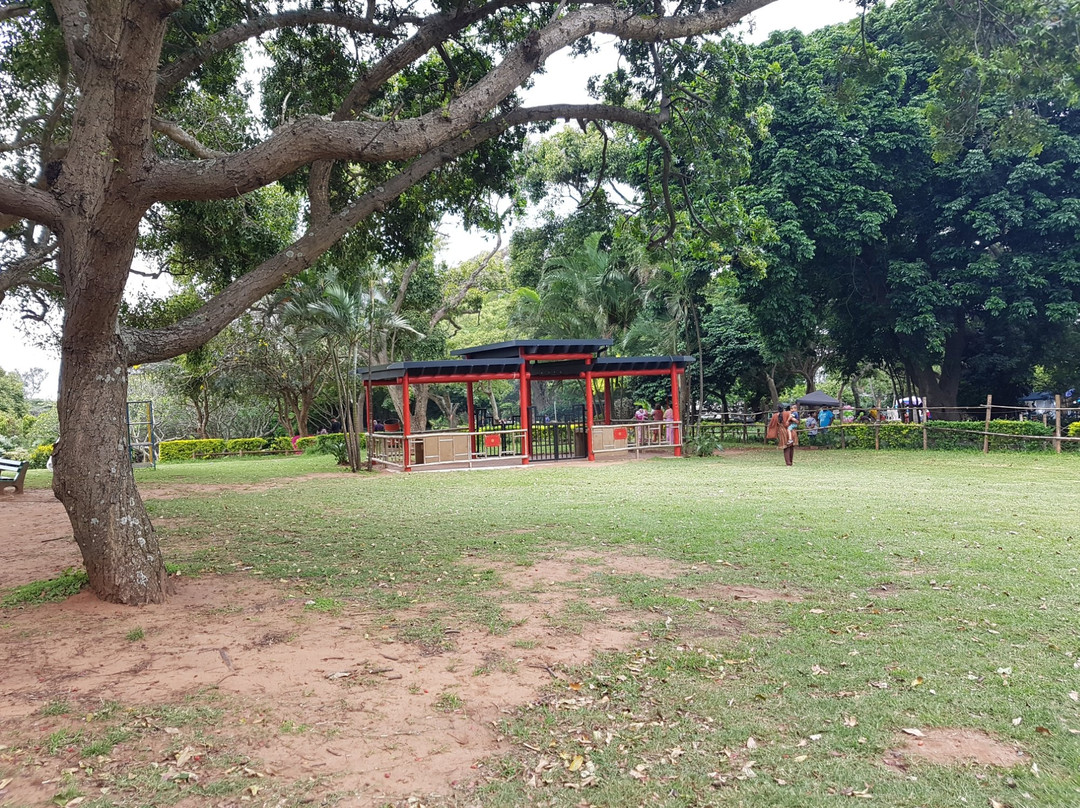 Durban North Japanese Gardens景点图片