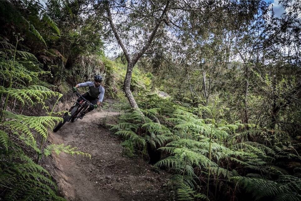 Garden Route Trail Park-克尼斯纳必去景点