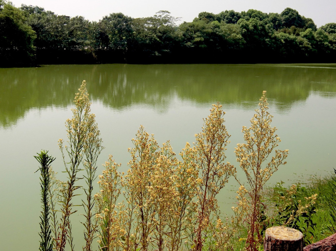 凤凰沟风景区-南昌市必去景点