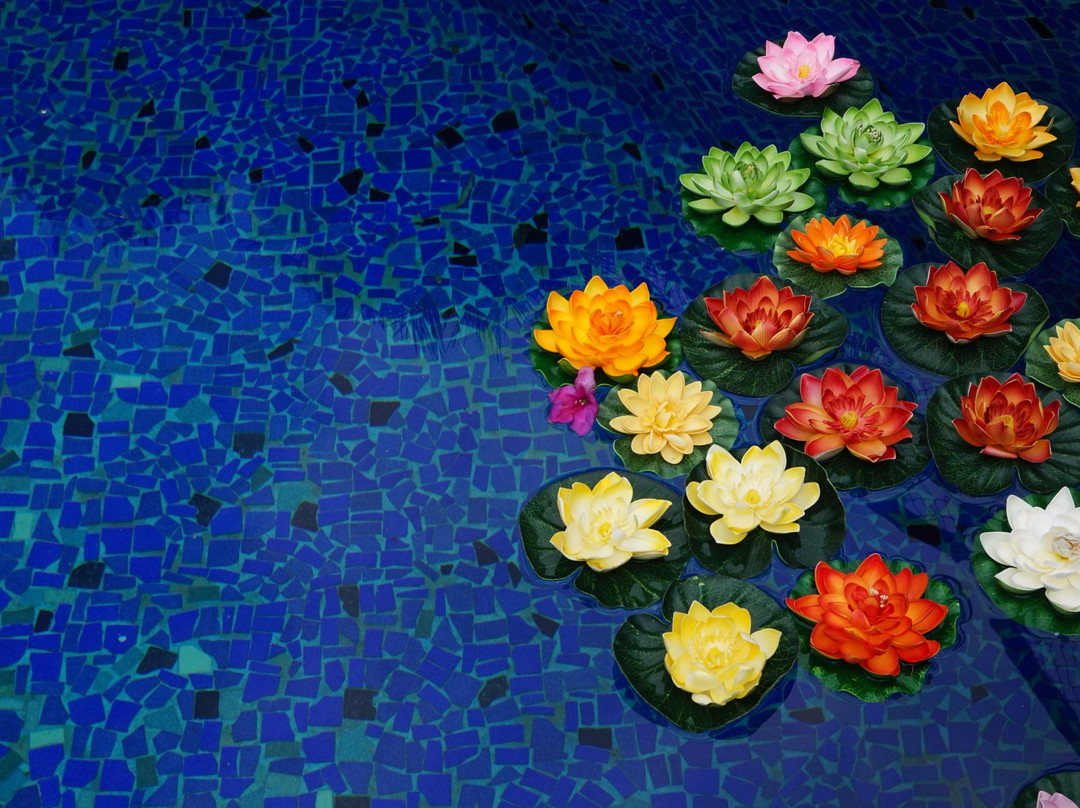 Centro Budista de Cuernavaca-奎尔纳瓦卡必去景点