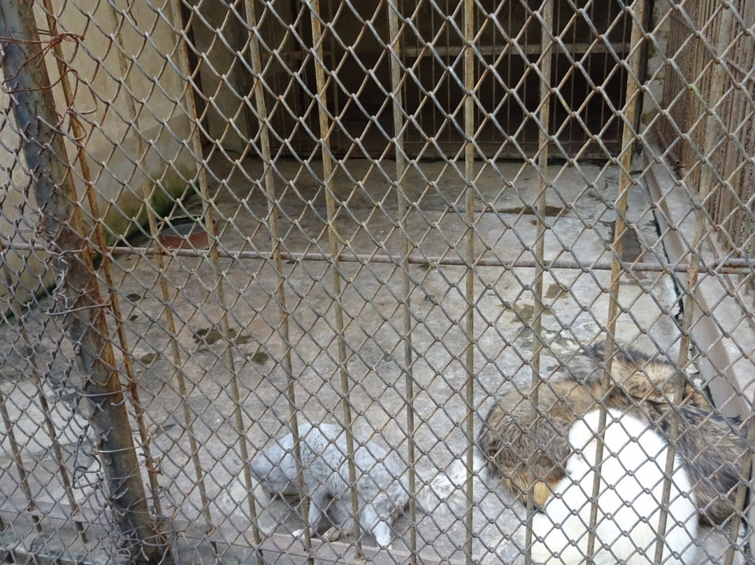 相山公园-淮北市必去景点