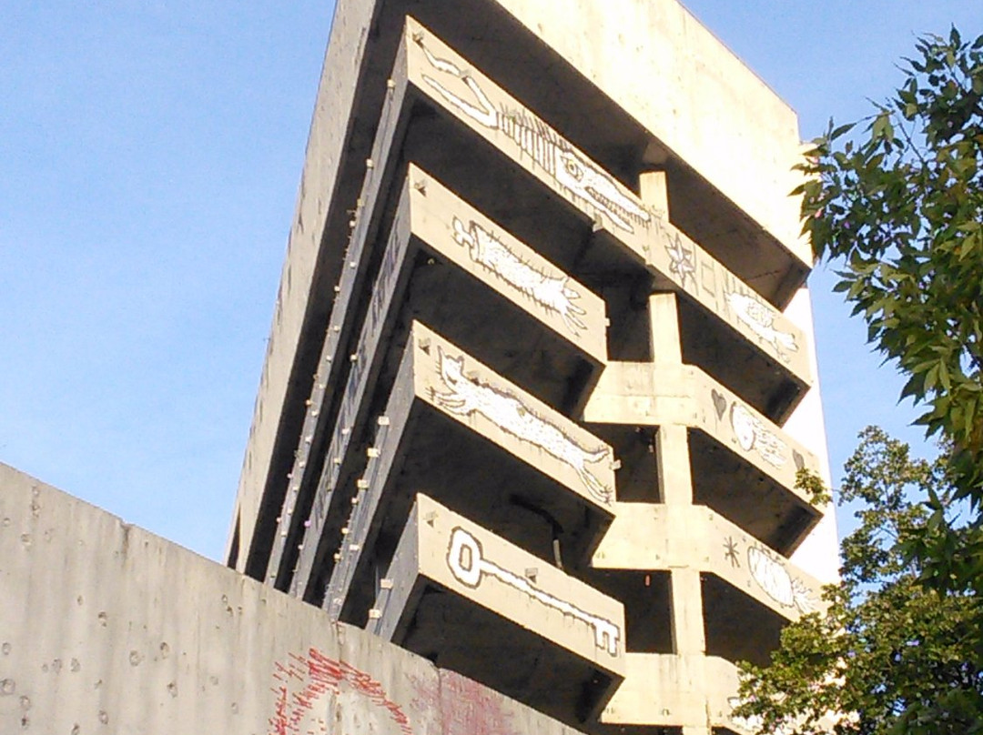 Abandoned Building景点图片