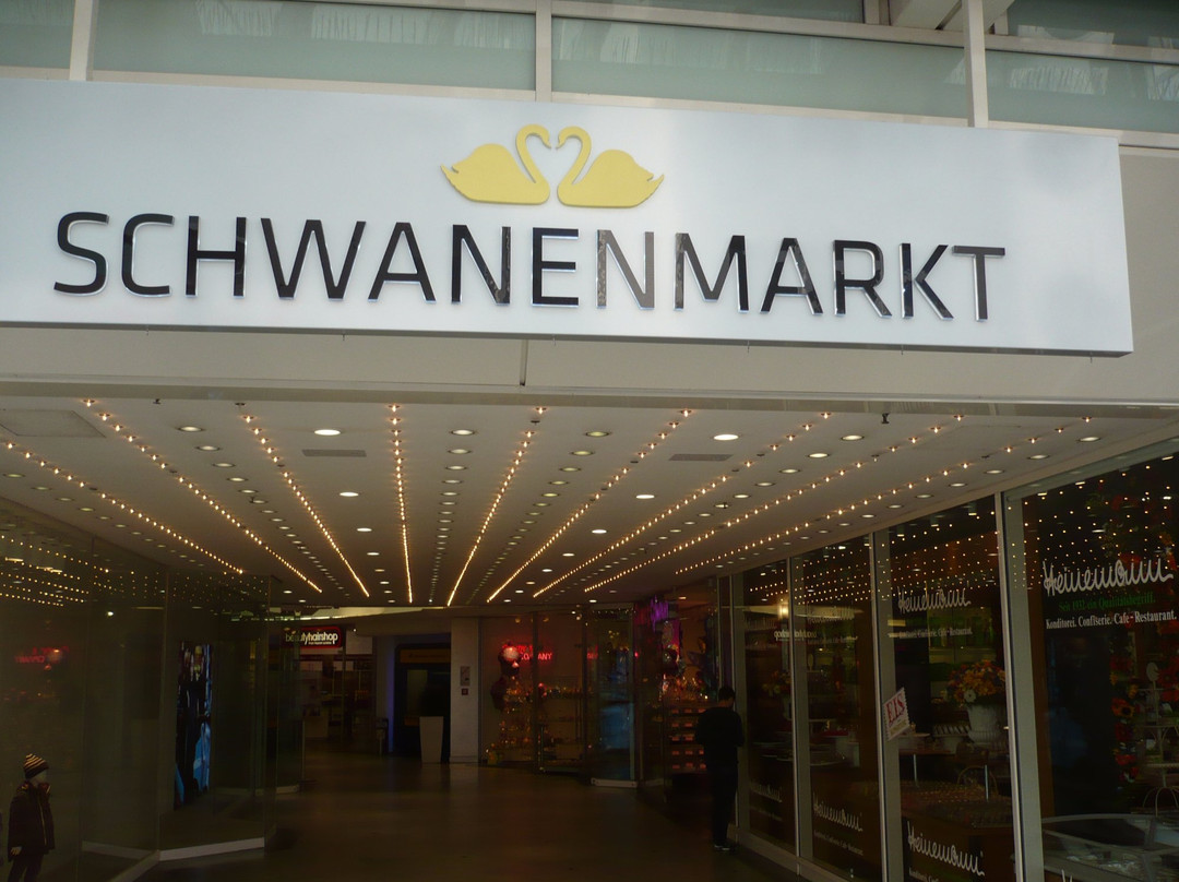 Schwanenmarkt景点图片