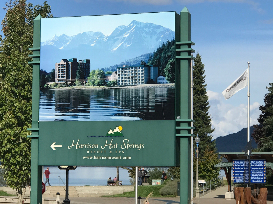 Harrison Hot Springs Public Mineral Pool-哈里逊温泉必去景点