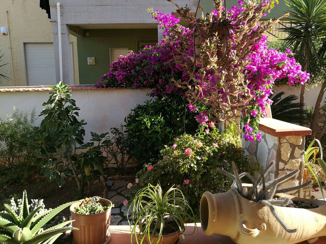 B&B Il Giardino del Sole主图