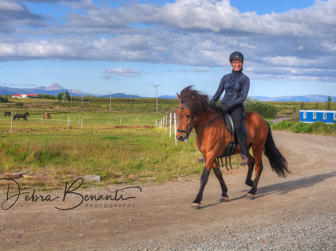 America 2 Iceland-博尔加内斯必去景点