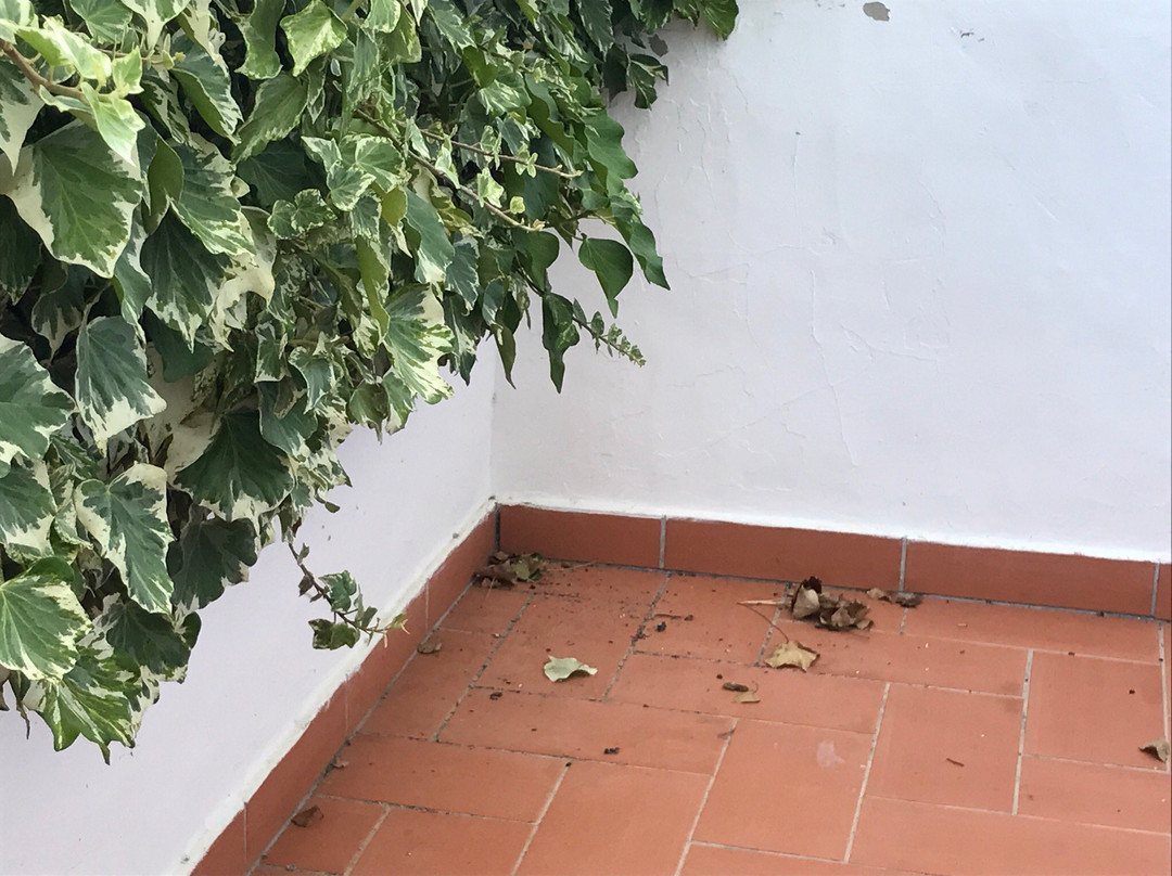 Apartamentos Canal Da Agua主图