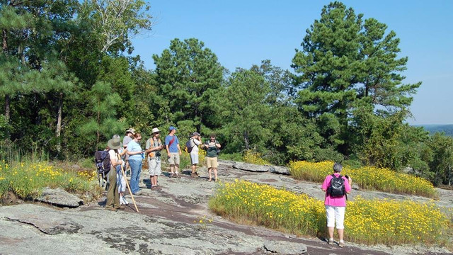 Panola Mountain State Park-Stockbridge必去景点