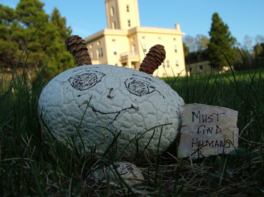 Sand Hills Lighthouse Inn主图