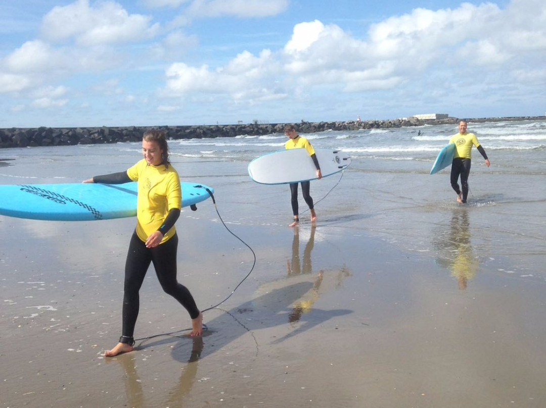 Ozlines-Wijk aan Zee必去景点