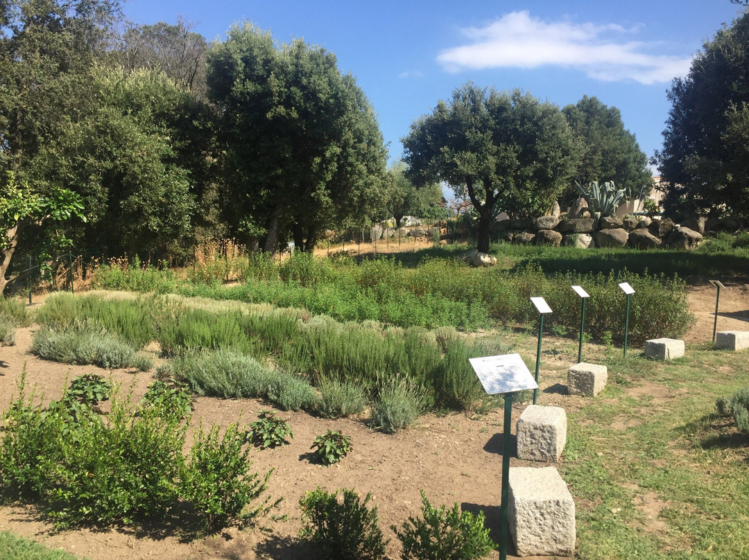 Domaine Amuredda景点图片