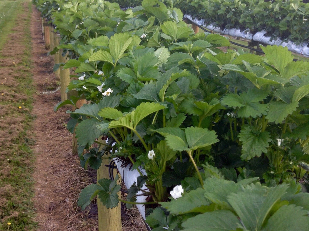 Horam旅游攻略图片