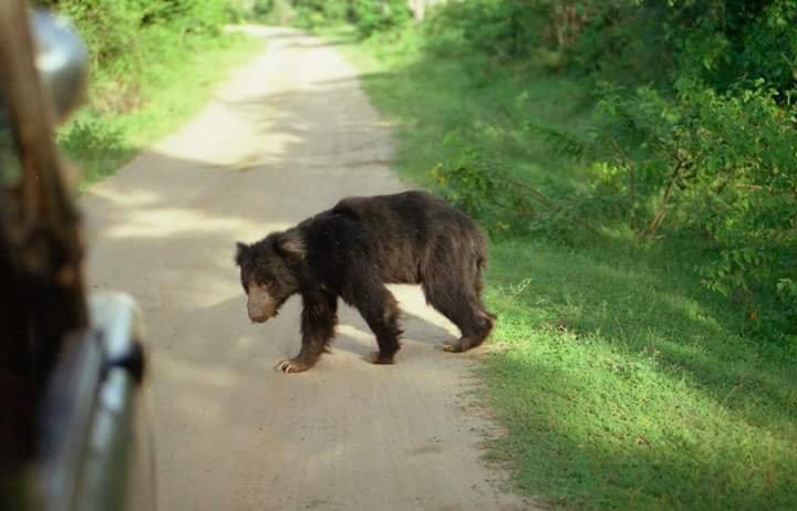 Sri Lankan Spring Tours-蒂瑟默哈拉默必去景点