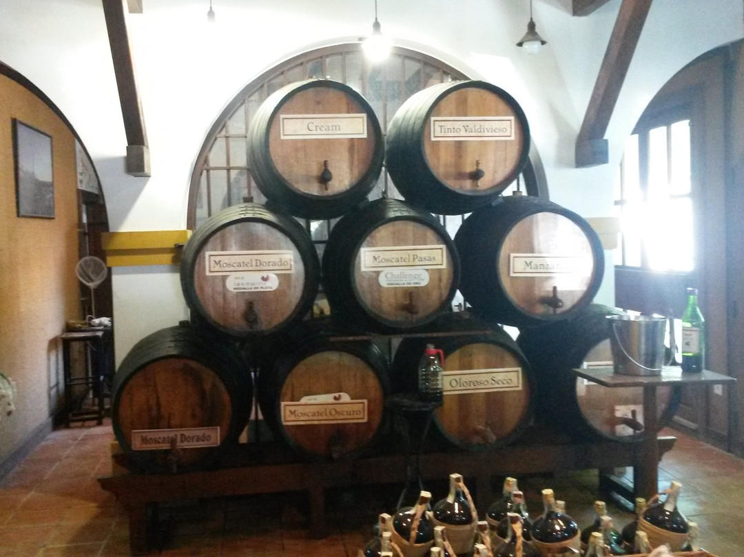Museo del Moscatel景点图片
