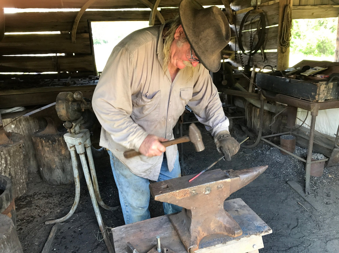Landmark Park-多森必去景点