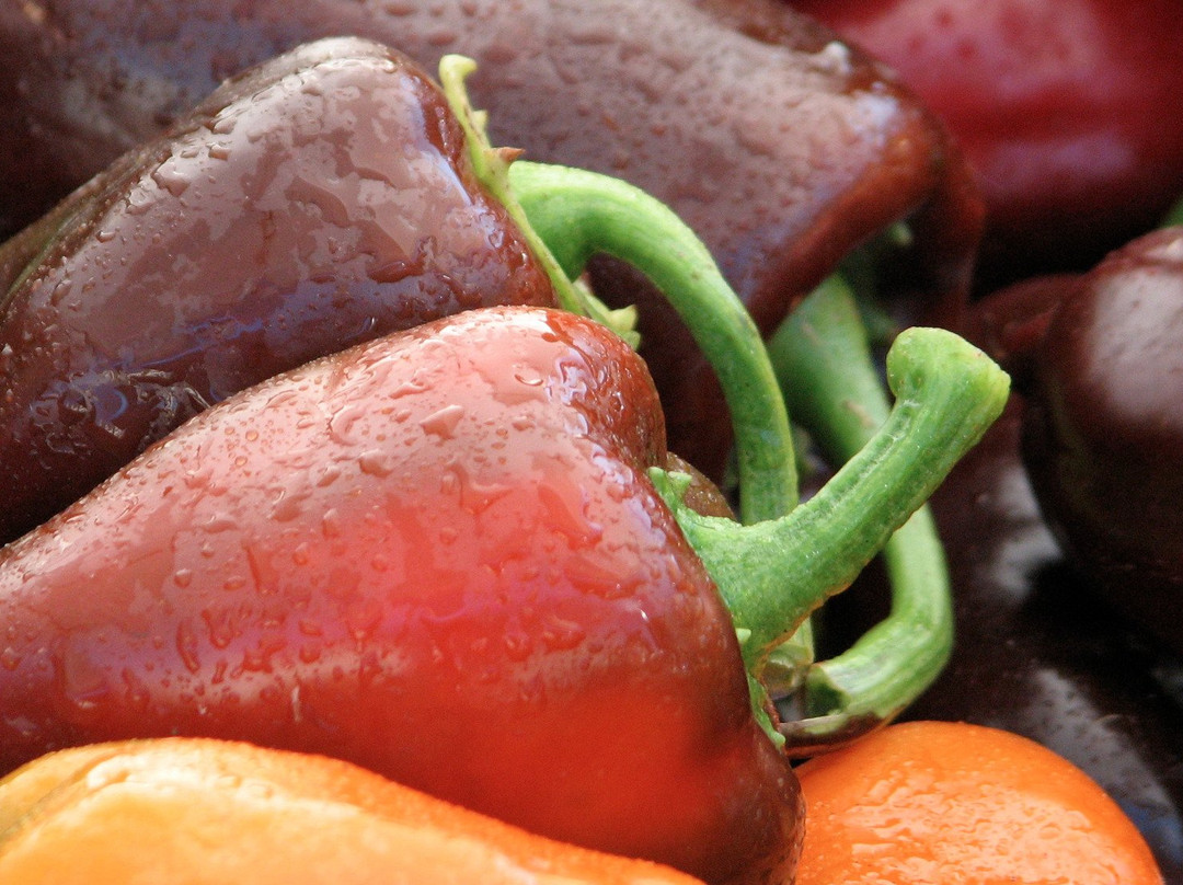 Coveyou Scenic Farm-皮托斯基必去景点