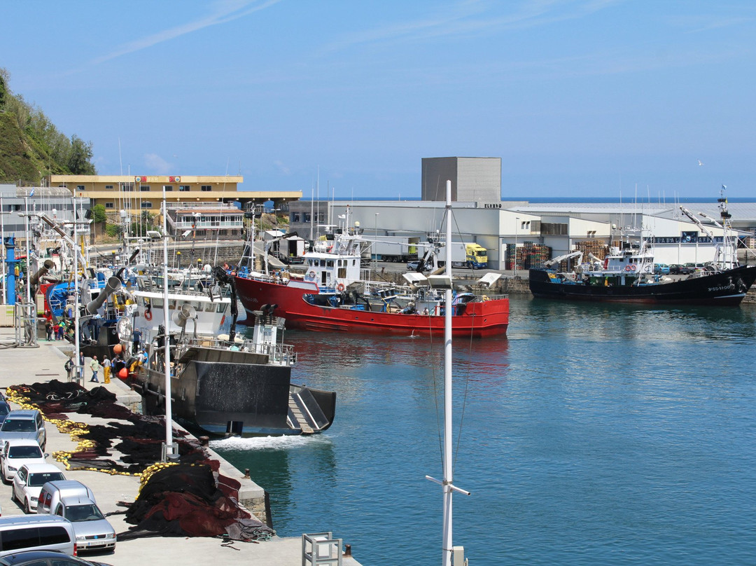 Getaria Fishing Port景点图片