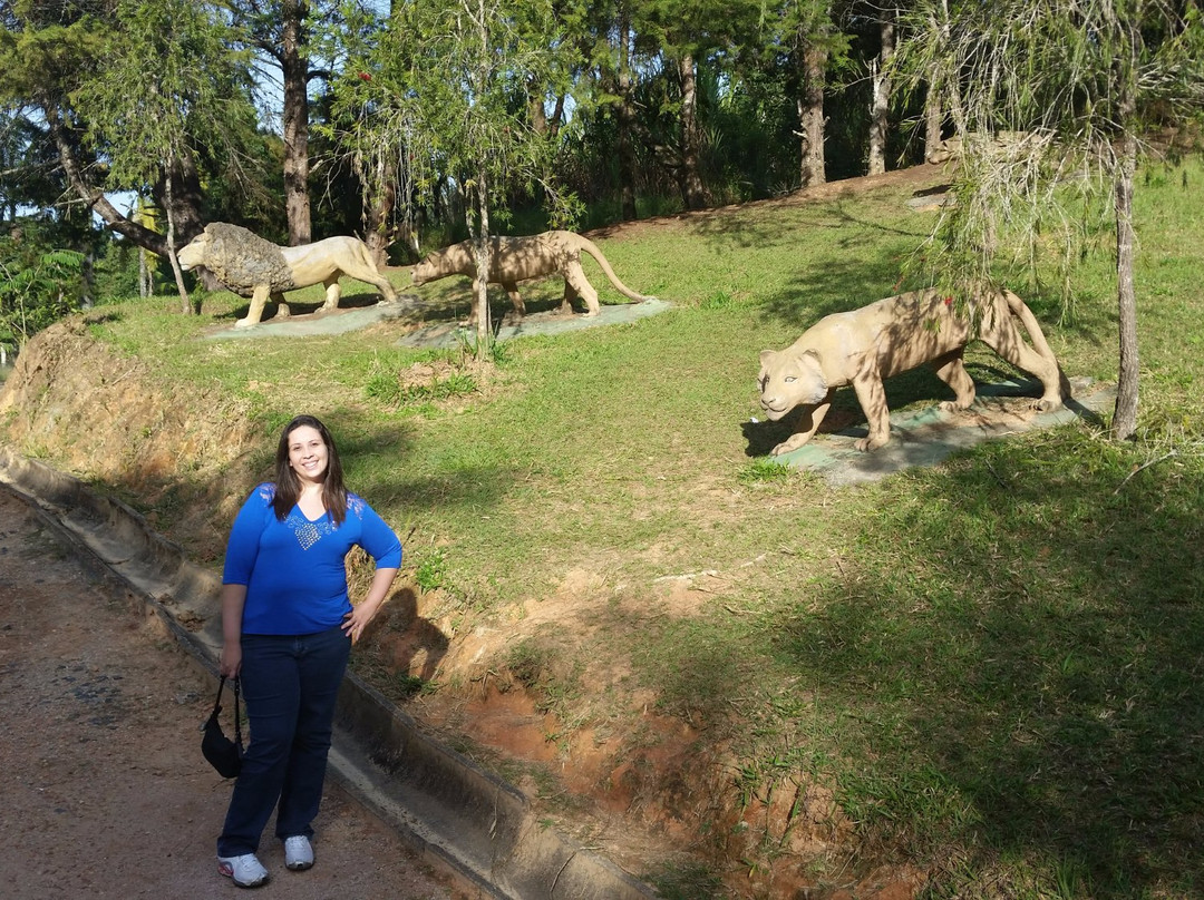 Parque Natural Municipal de Pouso Alegre-波苏阿雷格里必去景点