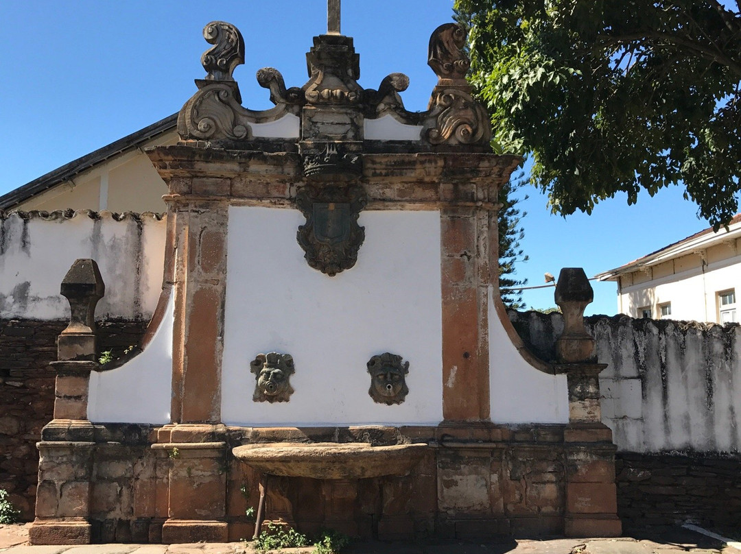 Parque Natural Municipal Chacara do Lessa景点图片