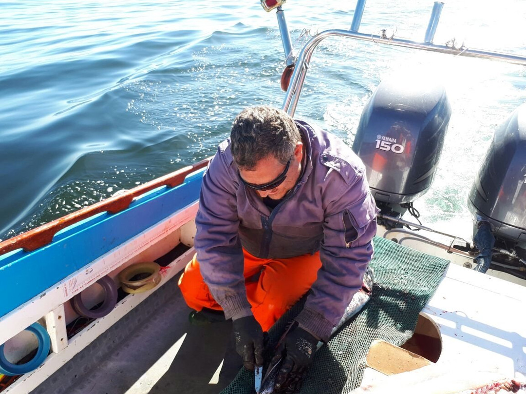 Out On The Bay Charters-St. Helena Bay必去景点