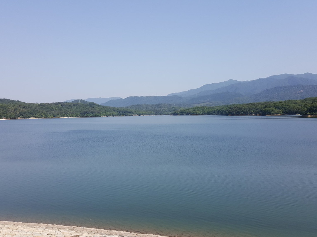 Manno Pond景点图片