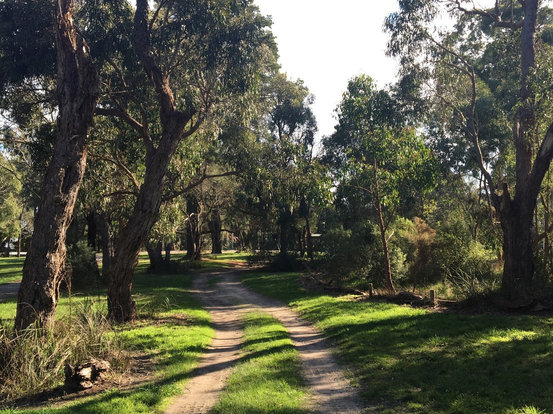 RE Gray Reserve-鲁纳沃丁必去景点