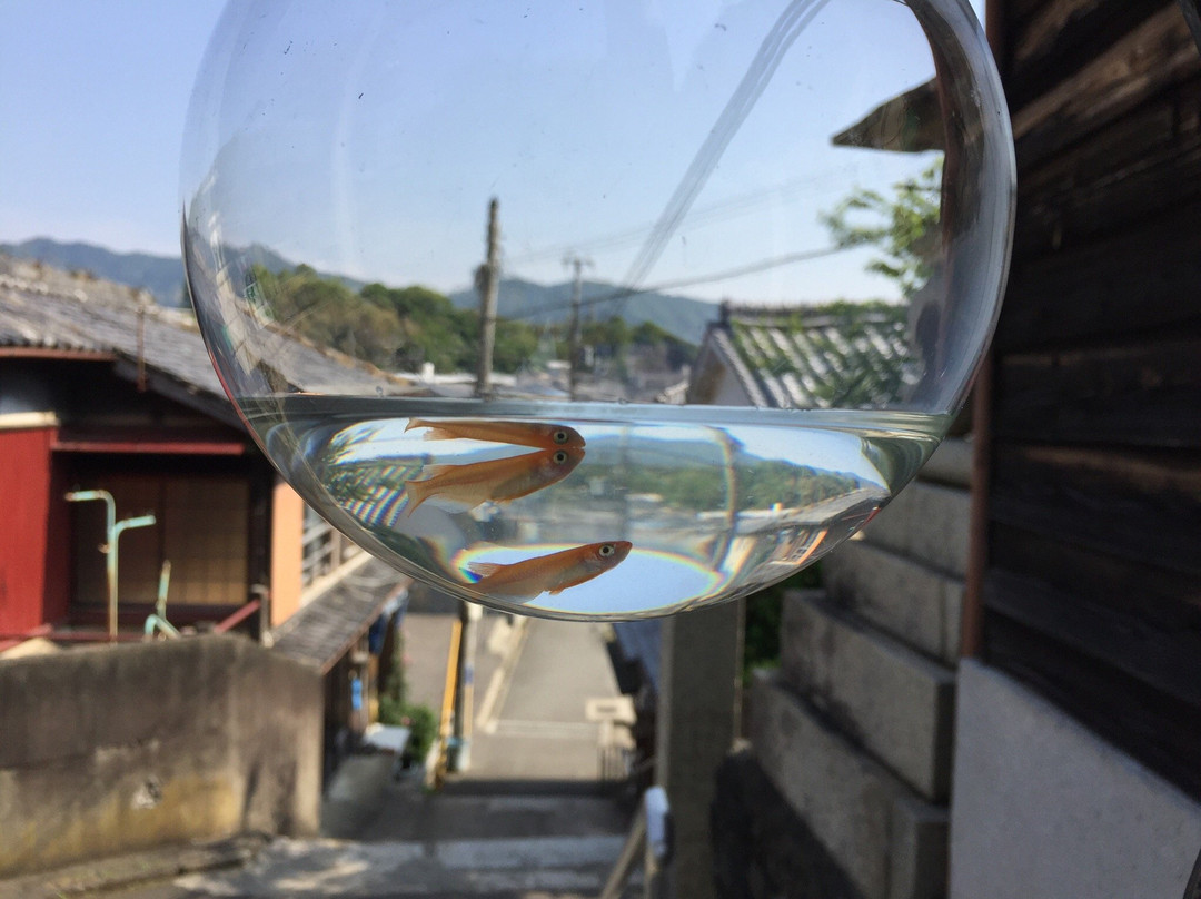 Street of Kuroe-海南市必去景点