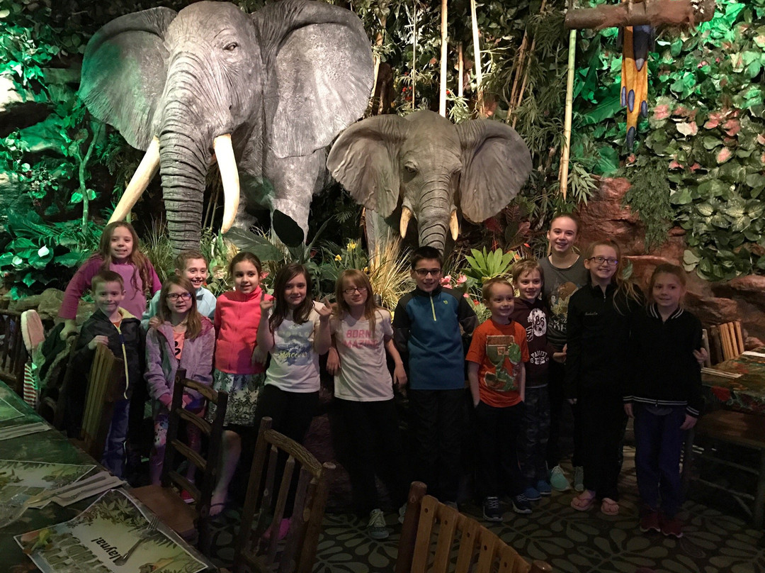 The Reef Beach Club & Pool-尼亚加拉大瀑布必去景点