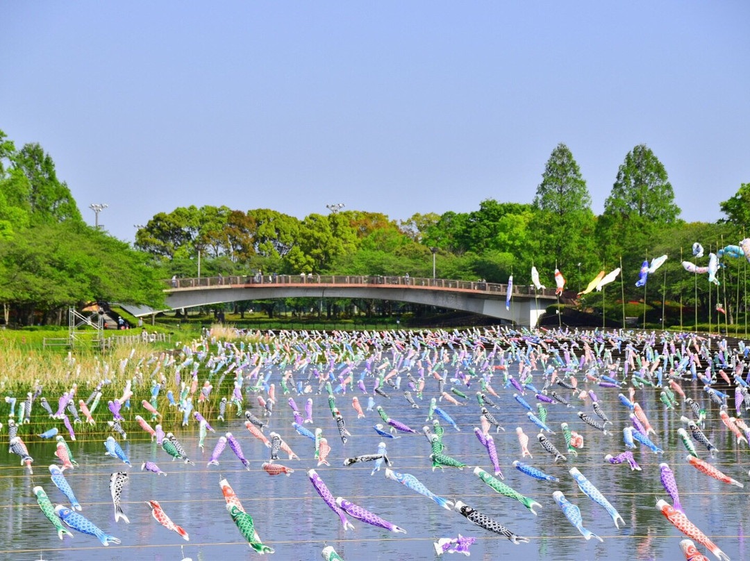 Tsuruuda River景点图片
