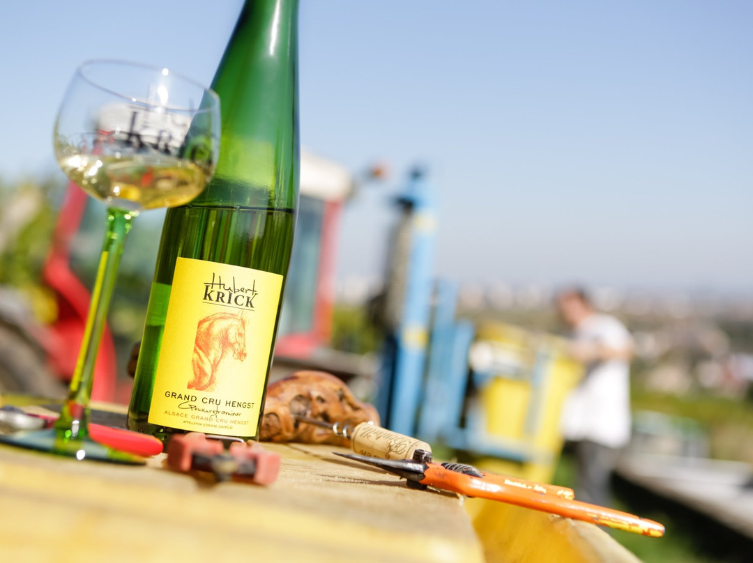 Vins d'Alsace Hubert KRICK景点图片