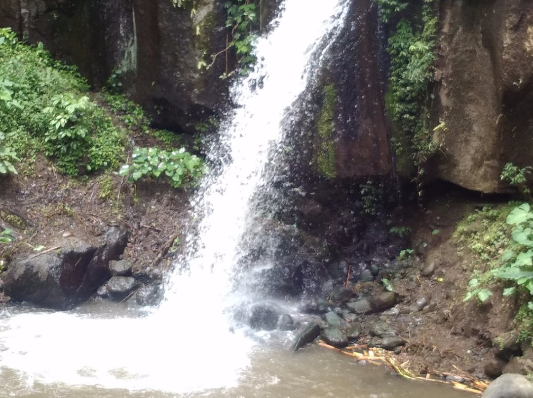 Tempursari Waterfall景点图片