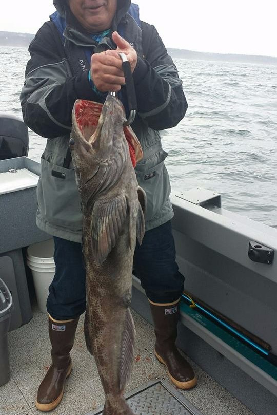 Pacific Charter Services-Charleston必去景点