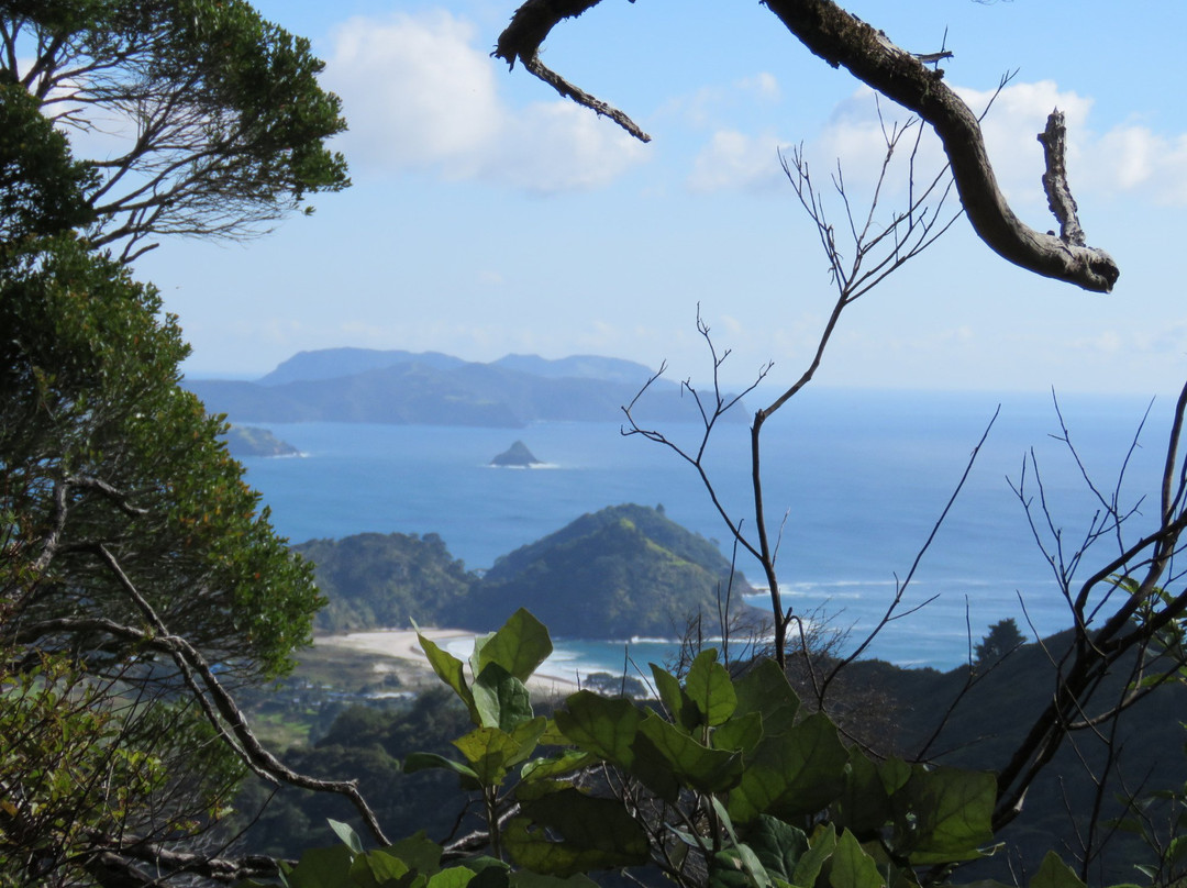 Station Rock Lookout景点图片