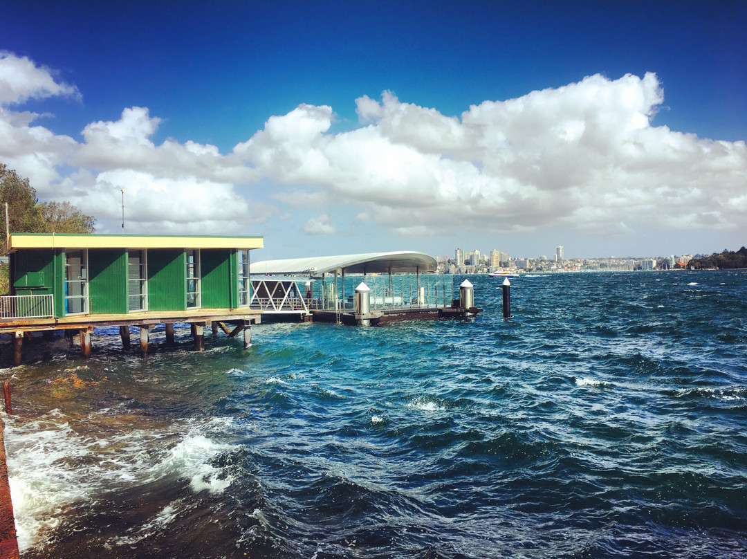 Neutral Bay Tour Co景点图片