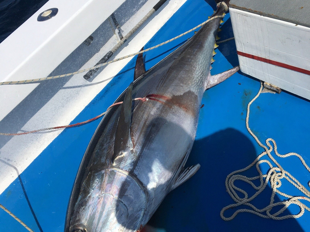 Seaducer Sportfishing Charters-纳格斯海德必去景点