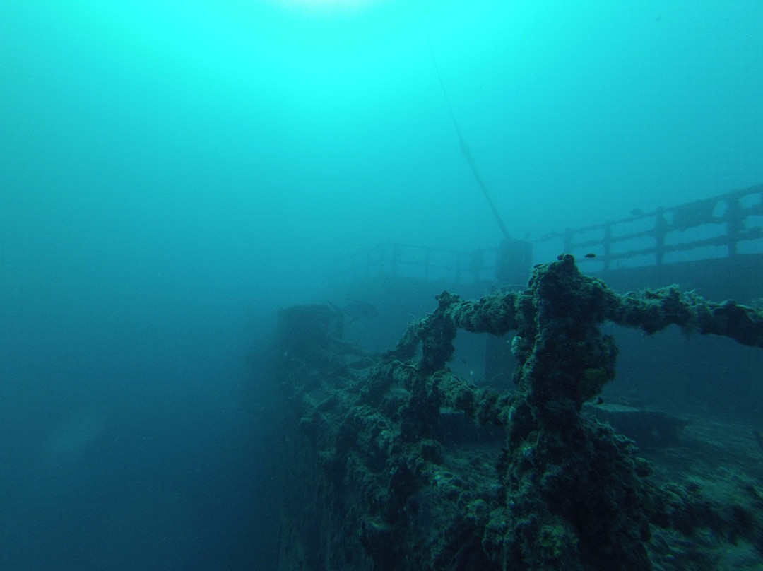Scuba Monkey Dive Center景点图片