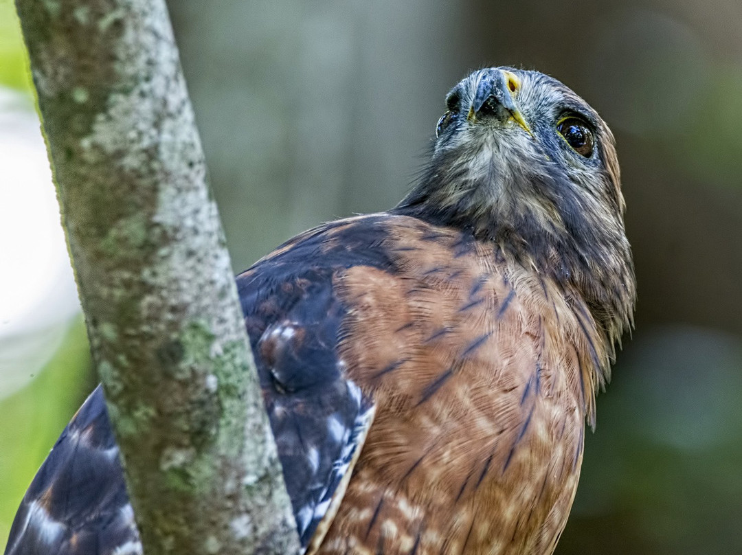 Cole Watkins Tours-Evans必去景点