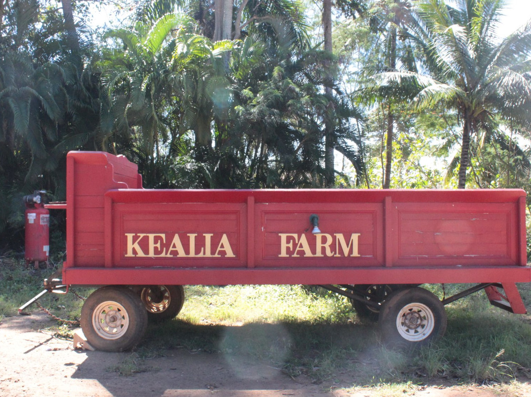 Kealia Farm Market景点图片